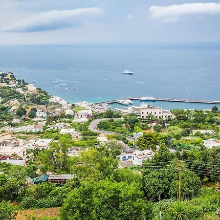 卡斯特拉玛雷帝斯达比亚 Sailing To Capri, Amalfi And Sorrento Coast Ischia And Procida酒店 外观 照片